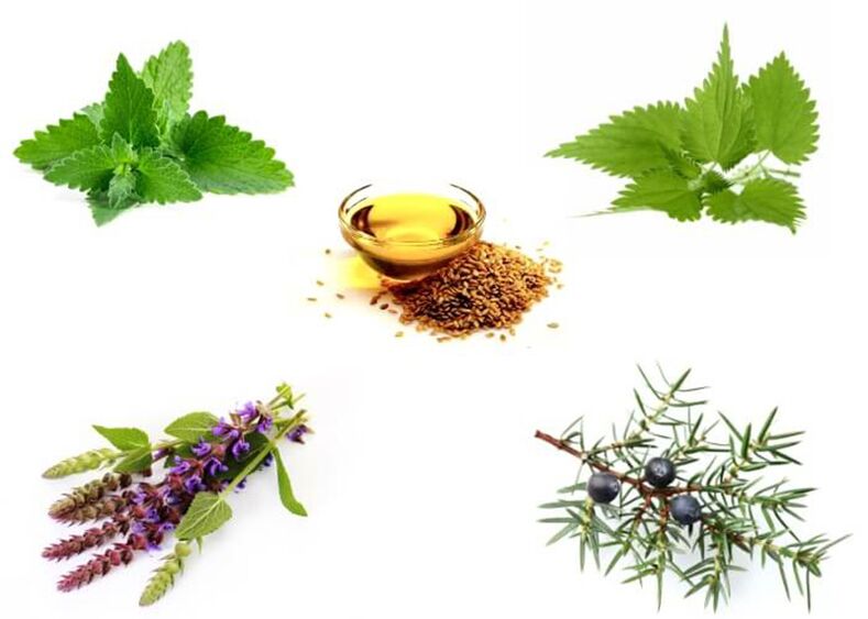 Mint, nettle, thyme, juniper ug linseed nga lana