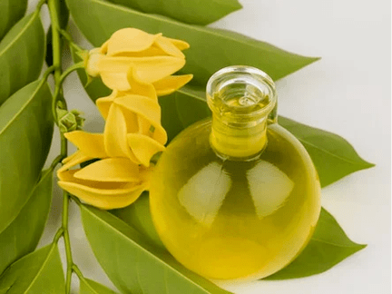 Aromatherapy aron mapaayo ang kahanas